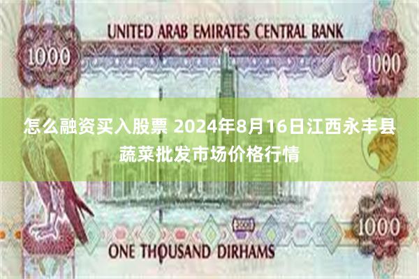 怎么融资买入股票 2024年8月16日江西永丰县蔬菜批发市场价格行情