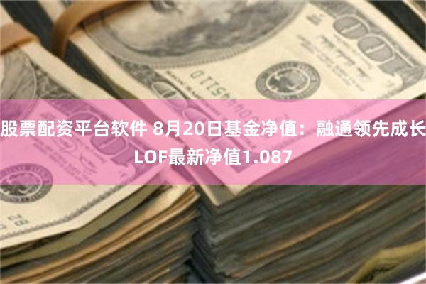 股票配资平台软件 8月20日基金净值：融通领先成长LOF最新净值1.087