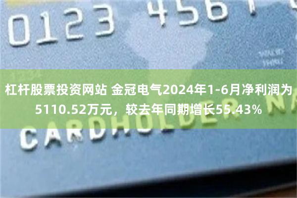 杠杆股票投资网站 金冠电气2024年1-6月净利润为5110.52万元，较去年同期增长55.43%