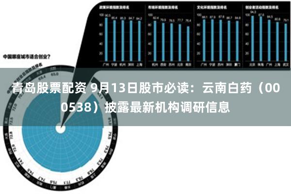 青岛股票配资 9月13日股市必读：云南白药（000538）披露最新机构调研信息