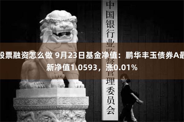 股票融资怎么做 9月23日基金净值：鹏华丰玉债券A最新净值1.0593，涨0.01%