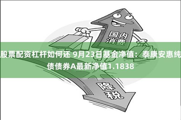 股票配资杠杆如何还 9月23日基金净值：泰康安惠纯债债券A最新净值1.1838