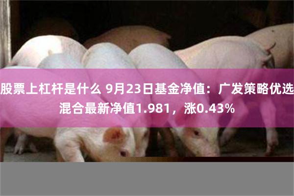 股票上杠杆是什么 9月23日基金净值：广发策略优选混合最新净值1.981，涨0.43%