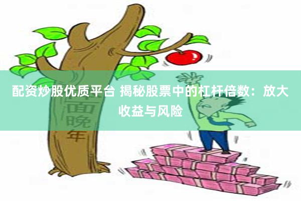 配资炒股优质平台 揭秘股票中的杠杆倍数：放大收益与风险