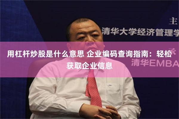 用杠杆炒股是什么意思 企业编码查询指南：轻松获取企业信息