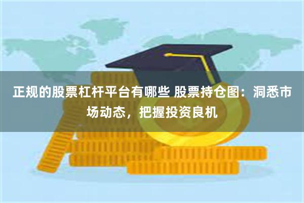 正规的股票杠杆平台有哪些 股票持仓图：洞悉市场动态，把握投资良机