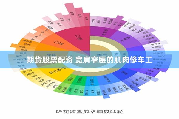 期货股票配资 宽肩窄腰的肌肉修车工