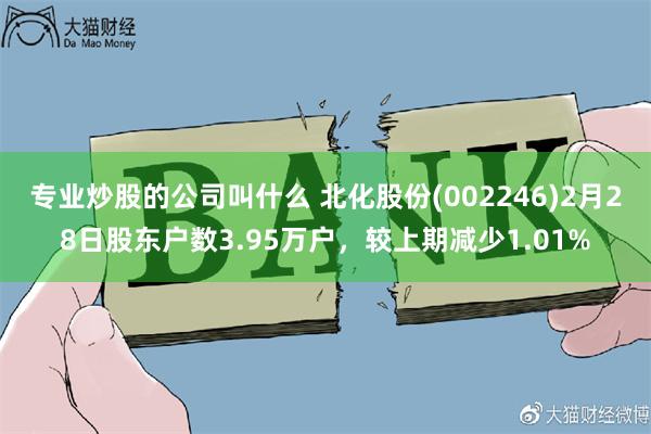 专业炒股的公司叫什么 北化股份(002246)2月28日股东户数3.95万户，较上期减少1.01%