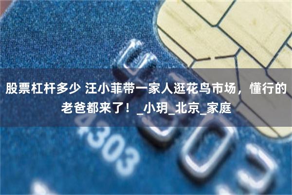 股票杠杆多少 汪小菲带一家人逛花鸟市场，懂行的老爸都来了！_小玥_北京_家庭