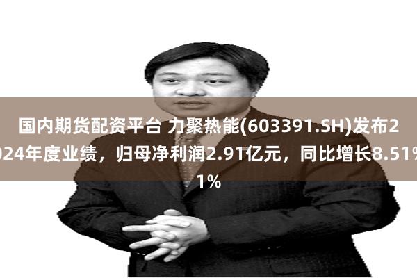 国内期货配资平台 力聚热能(603391.SH)发布2024年度业绩，归母净利润2.91亿元，同比增长8.51%