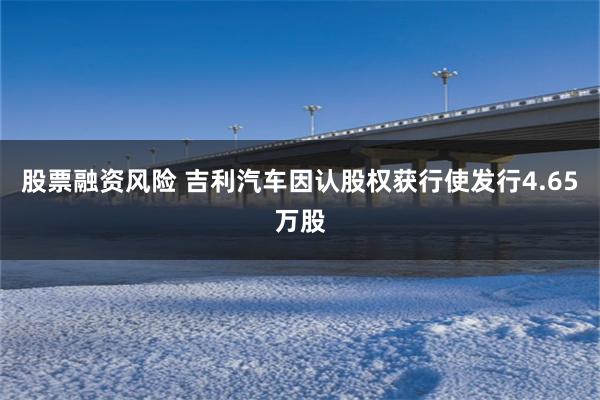 股票融资风险 吉利汽车因认股权获行使发行4.65万股